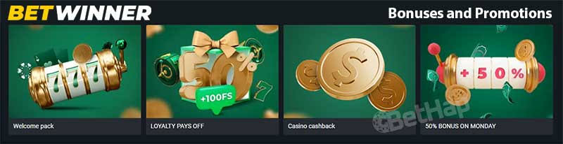 Discover the Thrills of Betting with BetWinner Gambling Platform